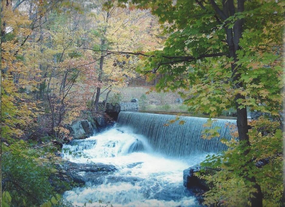 Cottage At Millpond Falls - A Romantic Escape Warwick Zewnętrze zdjęcie